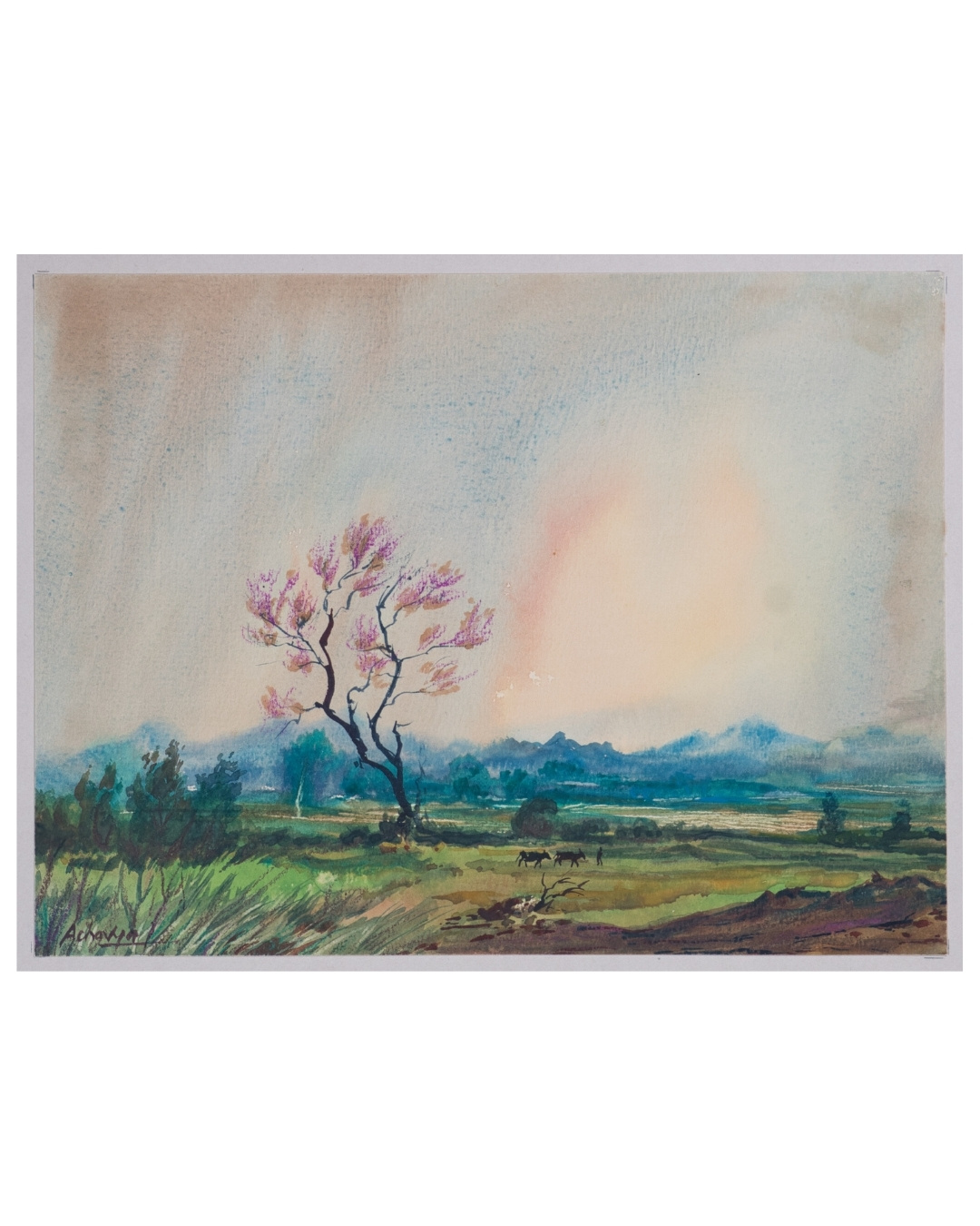 Malnad Springtime